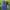 [Pavaruni] 100% Pure Essential Oils 50 premium plant