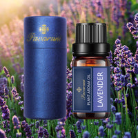 [Pavaruni] 40 Aromatherapy Scents for Diffusers Fragrance Aromatherapy Humidifiers Gifts
