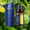 [Pavaruni] 40 Aromatherapy Scents for Diffusers Fragrance Aromatherapy Humidifiers Gifts