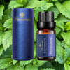 [Pavaruni] 40 Aromatherapy Scents for Diffusers Fragrance Aromatherapy Humidifiers Gifts